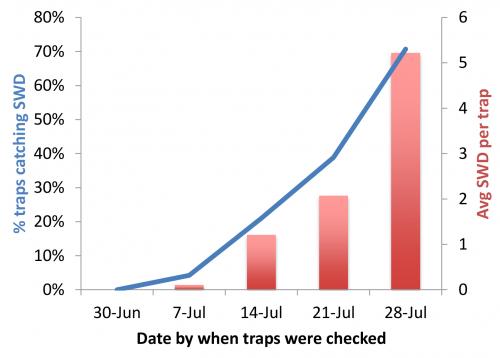 SWD Traps