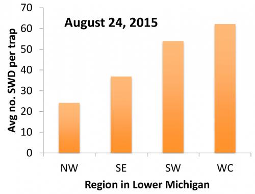 SWD graph (this week)