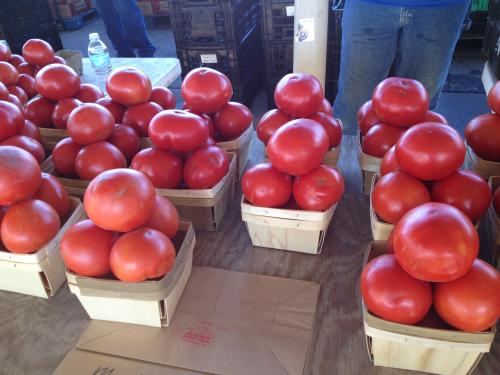 Slicing tomatoes