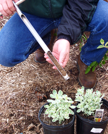 soil testing organic mulches