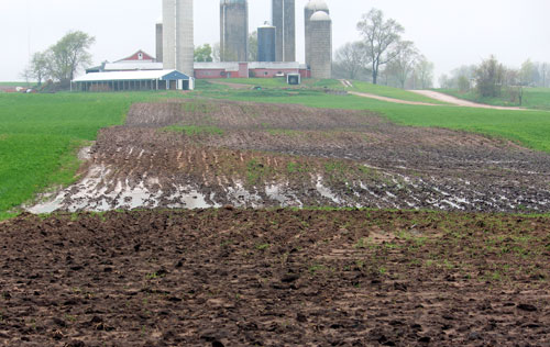 Standing water in field