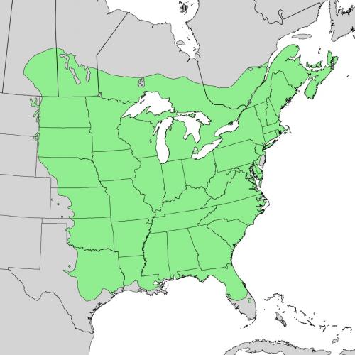 Ulmus americana range