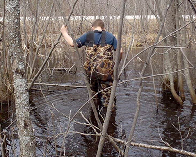 Vernal pool