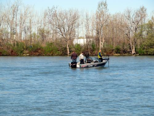 "Photo courtesy of Michigan Sea Grant"