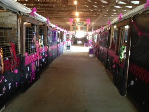 4-H clubs in Michigan are doing their part to raise awareness, support and funds to help those affected by cancer. 