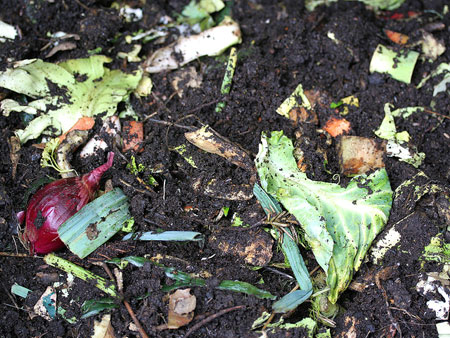 Compost pile