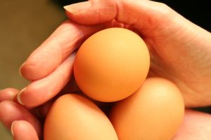 Learn food safety facts before decorating and eating your Easter eggs