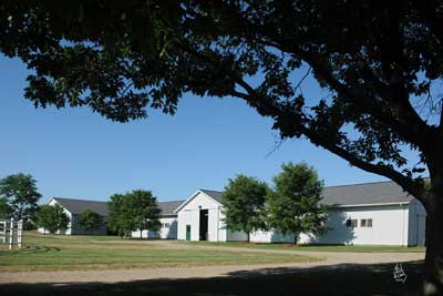 Learn more about the activities happening at the MSU Horse Teaching and Research Center.