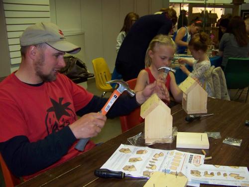 Making bee hotels