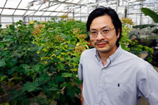 MSU AgBioResearch scientist Sheng Yang He