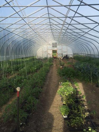 june hoophouse