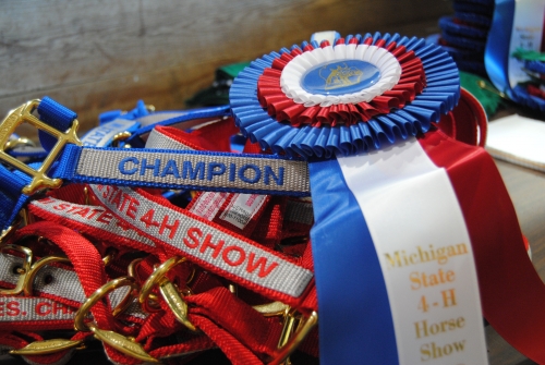 Ribbons from the State 4-H Horse Show