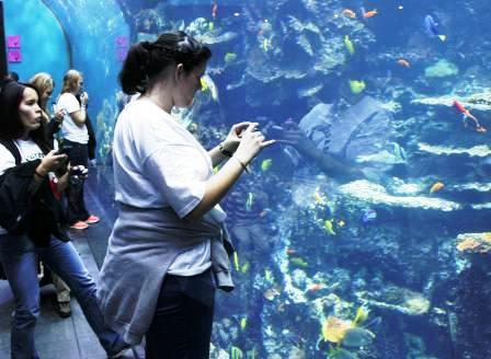 Congress delegates at Georgia Aquarium