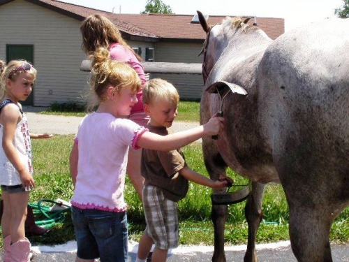 Tuscola Cloverbuds grooming a horse