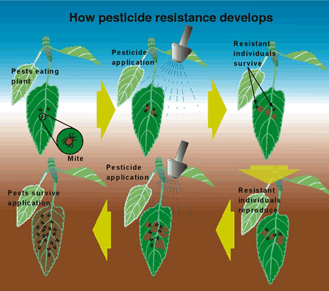 Uses of pesticides
