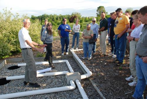 Planting over a drain field