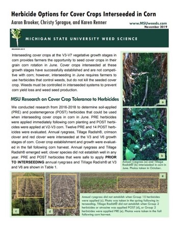 Notes in the Margins: Agronomy and Weed Science Musings