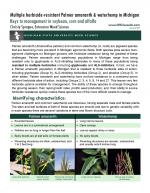 Palmer-amaranth-BC-Management-inMI-2016Page1