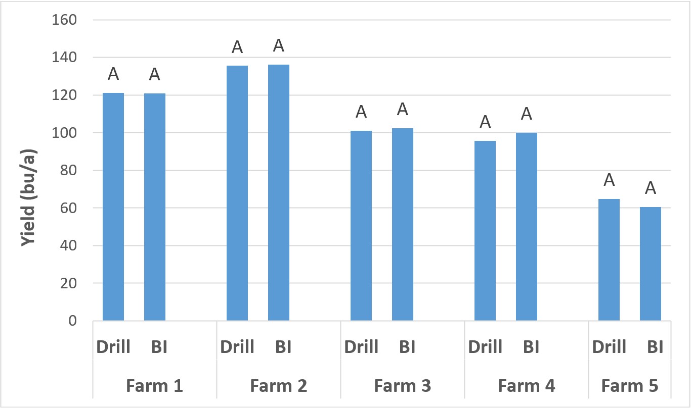 A bar graph.
