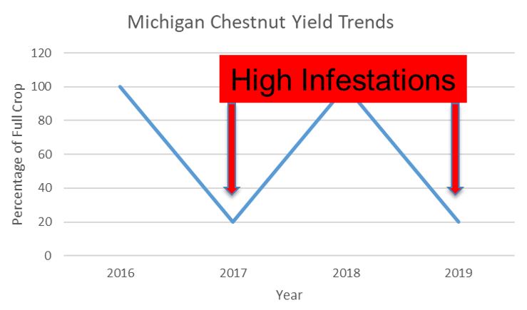 Graph of chestnut yields