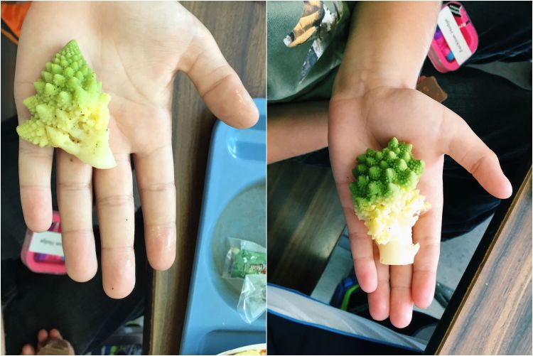 Students at Platte River Elementary proudly display their roasted romanesco cauliflower. Photo credit: Mikaela Taylor