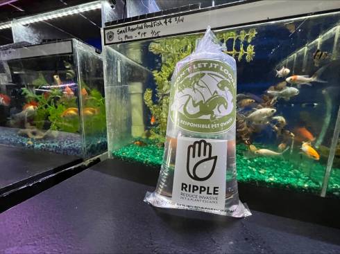RIPPLE fish bag at an aquarium shop
