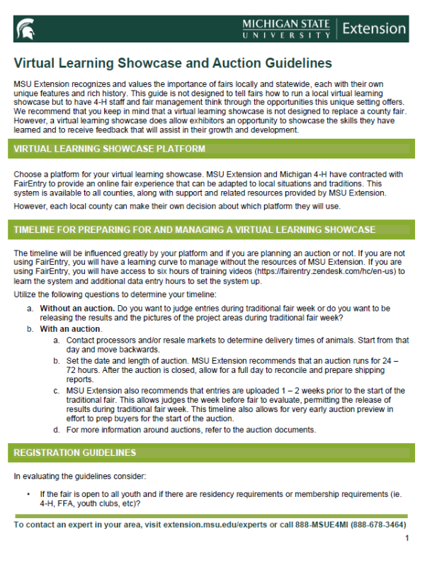 Snapshot of Virtual Learning Showcase and Auction Guidelines document.