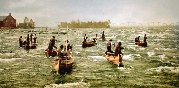 Fishing using traditional methods in the Saint Mary’s River Rapids circa 1902. Photo: Detroit Publishing Co. [Public domain], via Wikimedia Commons