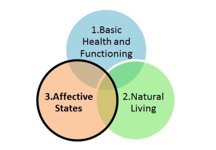 Three Circles Model of Animal Welfare, adapted from Appleby, Lund, and Fraser and colleagues.
