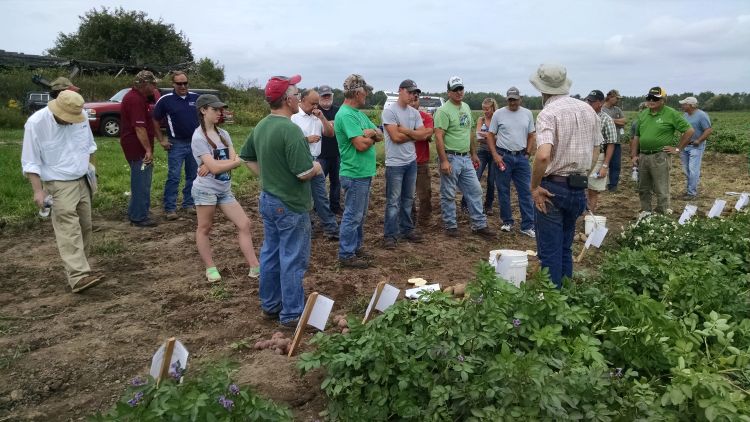 Potato growers gathered at Wilk Farms August 2016 for a field day highlighting the variety trial plots. Photo: James DeDecker, MSU Extension.