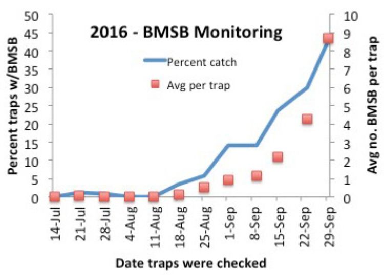 Nymphs and adults caught in baited traps at edge of fruit and vegetable plantings and a few urban sites in the Lower Peninsula. Line indicates percent traps that caught any BMSB; squares indicate average number captured per trap in a given week.