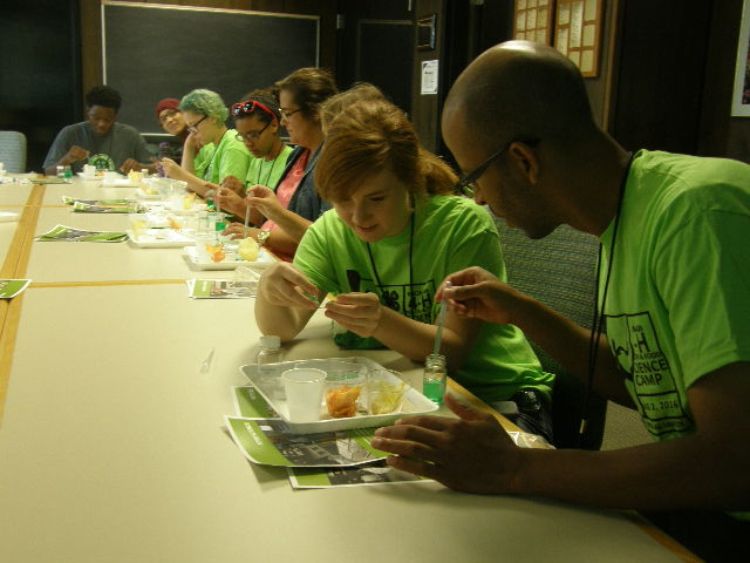 Youth at 4-H Health and Food Science Camp explore the texture of food.