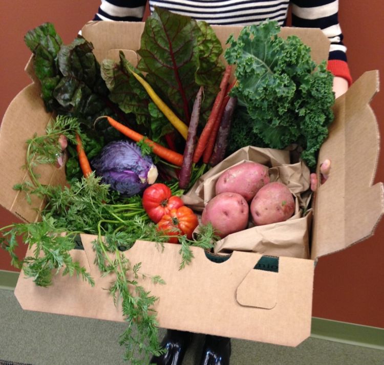 Produce for donation. Photo credit: Katelyn Vinson, Kalamazoo Valley Community College