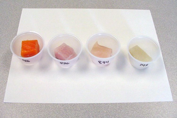 Popular fish samples used by the MSU Dept of Food Science and Human Nutrition Sensory Evaluation Lab during research on fish preference.