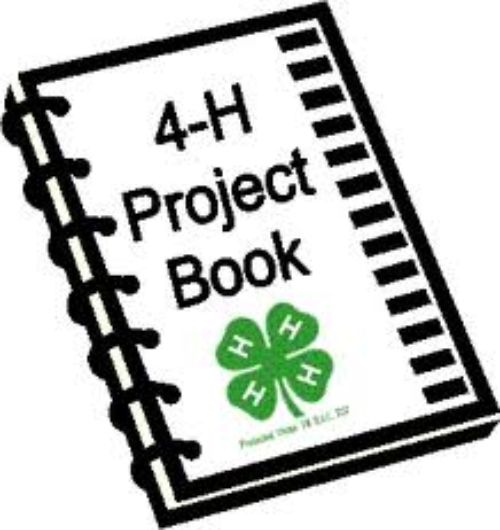 4-H project book