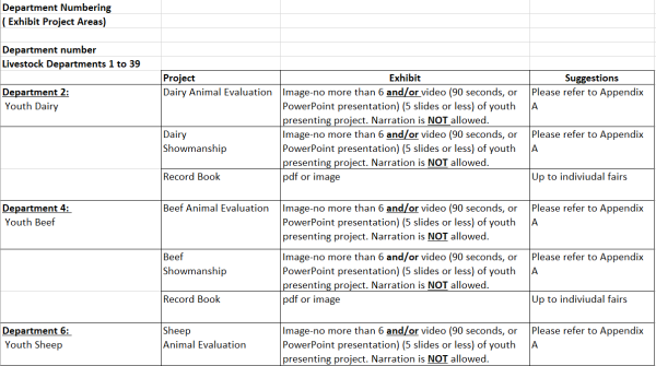 An image of the Virtual Learning Showcase Class Structure Guidelines spreadsheet.