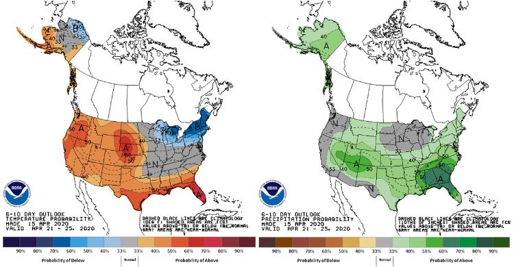 The outlook for temperature (left) and precipitation (right)