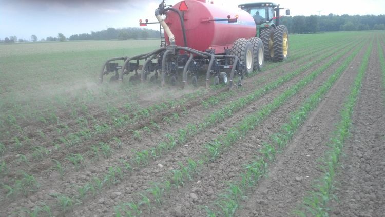 Planting the field with automatic guidance allowed for additional room and accuracy to sidress manure after corn was planted. | Michigan State University Extension.