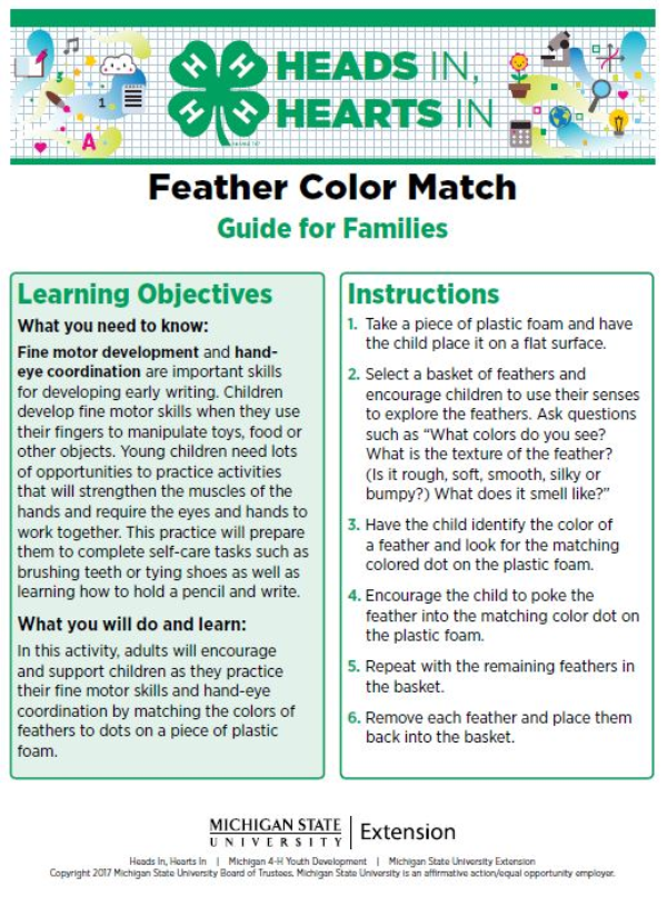 Feather Color Match cover page.