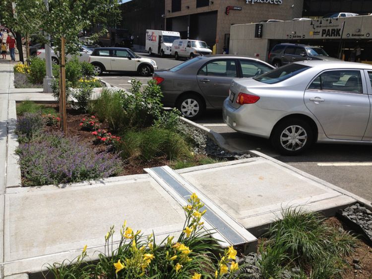 Installed green infrastructure. Photo credit: Chris Hamby