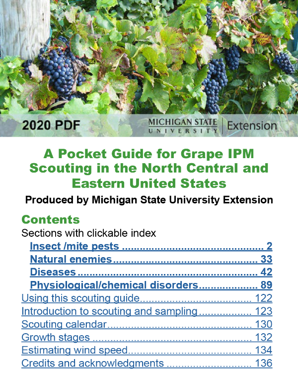 Cover of PDF guide
