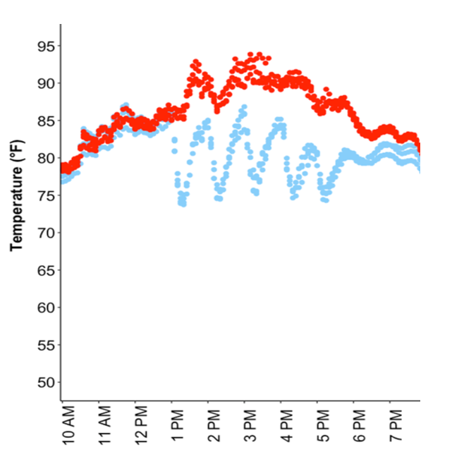 Dot graph.