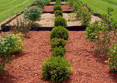 Wood mulch