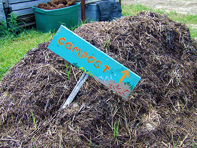 A pile of compost