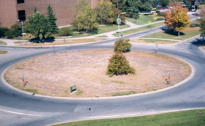 Spring damage from European chafer grub feeding on MSU campus