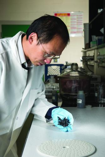 MSU assistant professor with the Department  of Plant, Soil and Microbial Sciences Wei Zhang  examines a sample of biochar in his laboratory. 