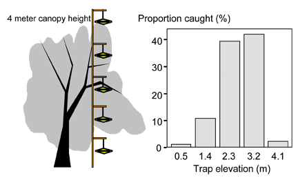 Figure 1 Figure 1