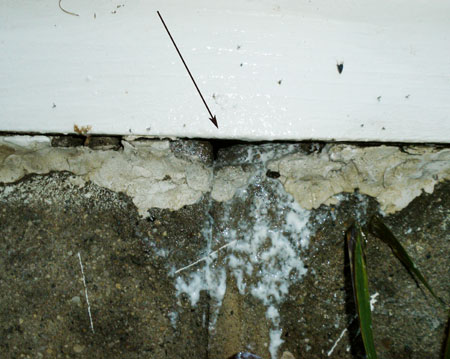 Illegal use of sevin dust