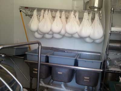 Hanging chevre Hanging chevre
