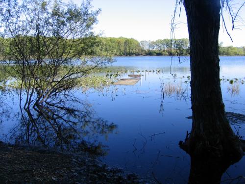 Submerged dock on a natural, groundwater seepage lake.